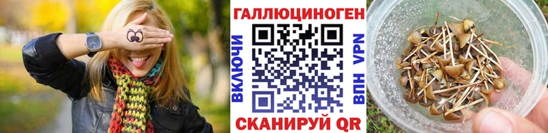 Псилоцибиновые грибы мухоморы  Орлов 